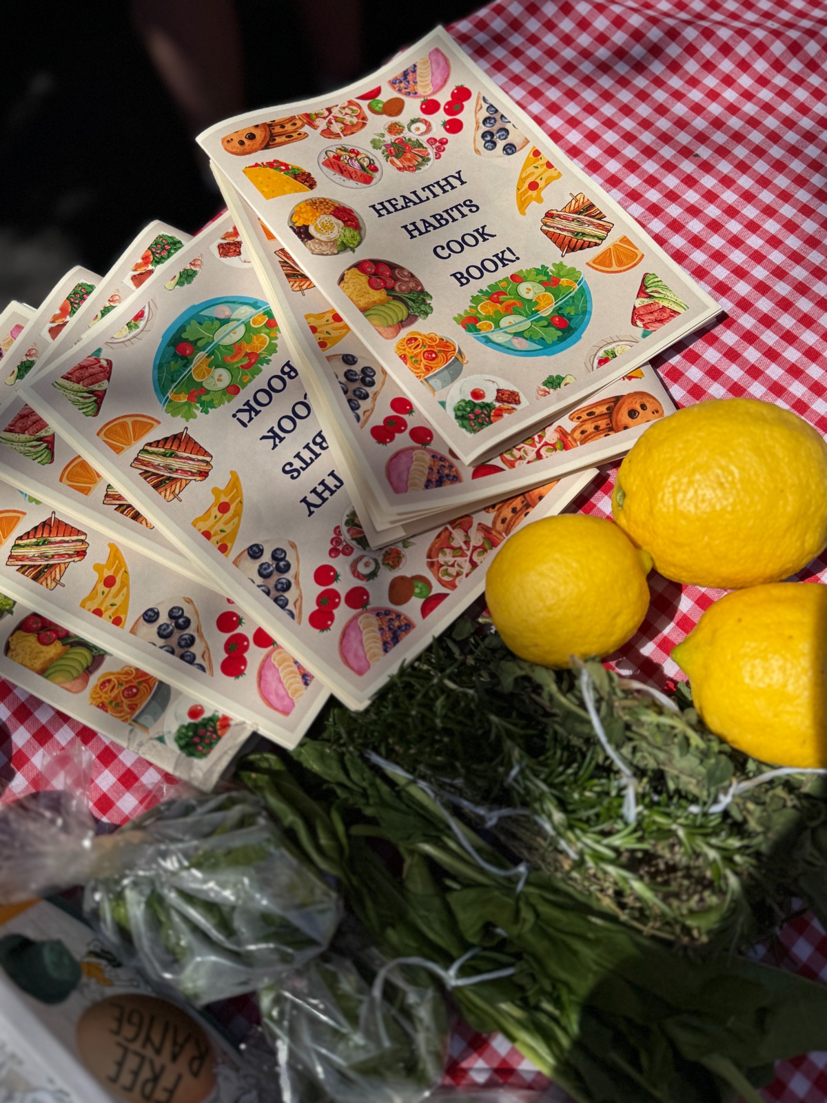 Healthy Habits Cook Book displayed on a red gingham tablecloth alongside fresh lemons and herbs